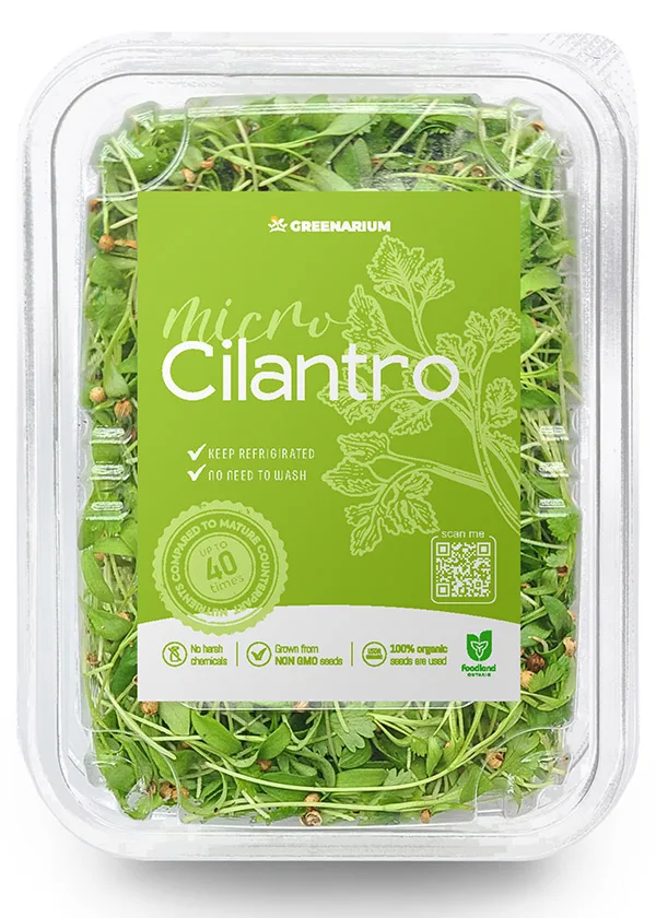 CILANTRO-light
